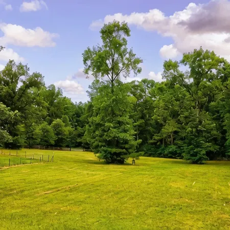 Sovereign Cottage - Hot Tub/Outdoor Space/10 Acres Farm Land.4 Bedrooms 3 Baths