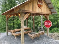 Rustic Mountain Cabin 225