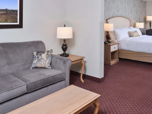Appomattox Inn and Suites - Wifi