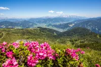 Hotel Alpenwelt - 3-Sterne