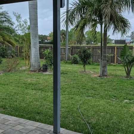 Royal Palm flat