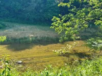 Laurel Mountain Getaway 🌄 Trout Fish on Crooked Creek🎣 - 4-Star