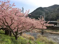 Angel Forest Okawa Shiomisaki - Pet friendly
