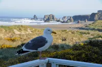 Ocean Front ON the Beach - 14 Minutes to Bandon Dunes Golf! Spectacular Views! - Beach