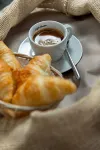 Hotel Birsighof Basel City Center - صديق للحيوانات الاليفة
