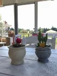 EDE APART OTEL-GEYİKLİ - Wi-Fi