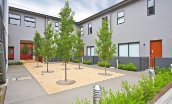 a courtyard surrounded by a building with trees and bushes , creating a peaceful and inviting atmosphere at The Star Apartments