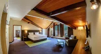 Hot Springs Medical and Spa Hotels in Bania