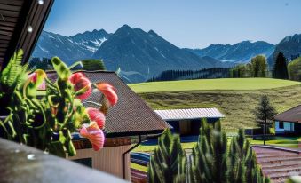 Haus Susanne - Top-Ferienwohnungen - Sommer-Bergbahn Inklusive
