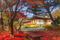 Hwacheon Dagagada Hanok Stay