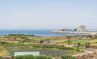 Jeju Aewol Sea & Star Pension