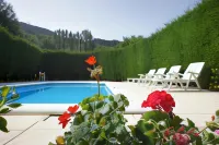 Hotel la Planada - Pools