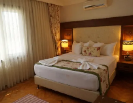 Padok Premium Hotel & Stables