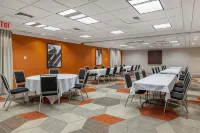 Comfort Inn & Suites Hotel di Hatfield