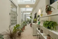 Jeju Rapauza Stay