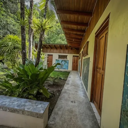 Ventanas en Corcovado