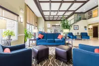 Comfort Inn & Suites Greenwood Near University