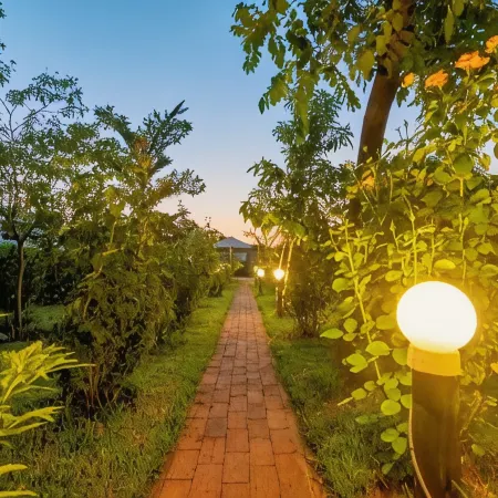 Dzimbahwe Guest Lodge