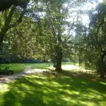 Landhaus Renken am See Hotels in Bad Zwischenahn