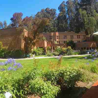 Hotel Bosque de Reñaca Hotel Exterior