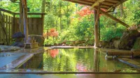Ryokan Ohnuma - balneario