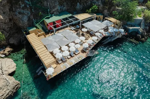 Lucky Monkey Hotel