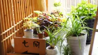 Jiuqi Xijiang Qijian Hostel - Yolcu Alma/Bırakma Hizmetleri