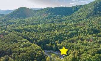 Bear Paw Cottage #3 King; Peaceful: Cozy: Pet Friendly; 2Adults/ 2Children