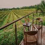 The Source at Sula - Romantic