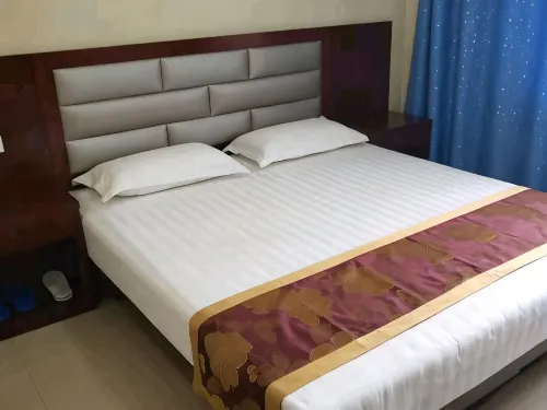 Alxa Zuoqi Jinxin Hotel - Inns