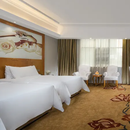 Vienna Hotel (Shaoyang High Speed Railway Station)
