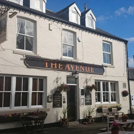 The Avenue