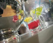 Hotel Kilkenny - bar