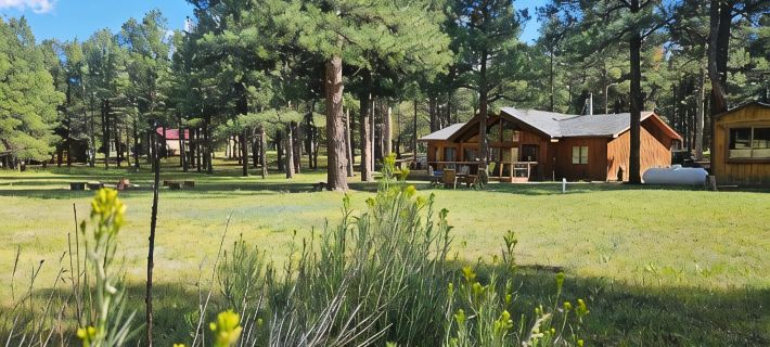 Welcome to Cozy Doo's Casa -A Warm, Woodsy Getaway in Angel Fire, NM Hotels in Angel Fire