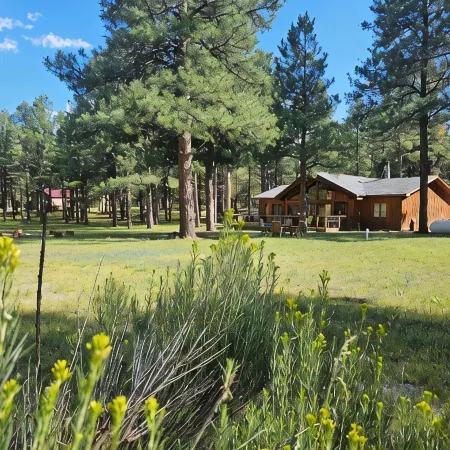 Welcome to Cozy Doo's Casa -A Warm, Woodsy Getaway in Angel Fire, NM