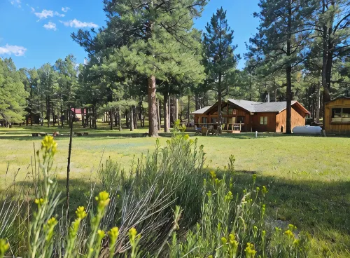 Welcome to Cozy Doo's Casa -A Warm, Woodsy Getaway in Angel Fire, NM