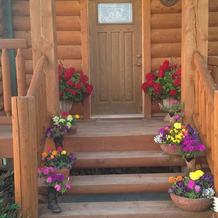 Jackie's Patch of Heaven