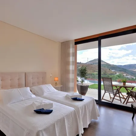 6 bedrooms/suites, infinity pool, gymnasium, gardens, barbecue - Douro Valley