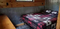 Tiny cabin in towering pines, with lake view. Pets accepted!
