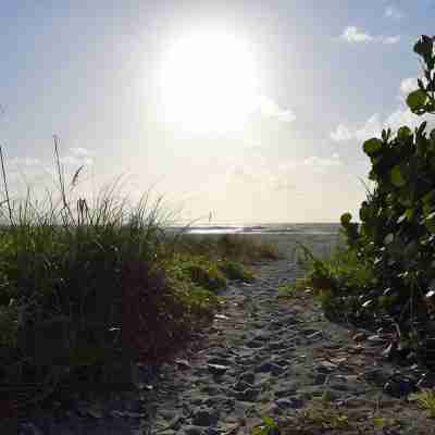 New Beach Condo Steps From The Ocean Others