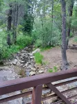 Mt. Lemmon Pet Friendly Cabin #3 - Hytter