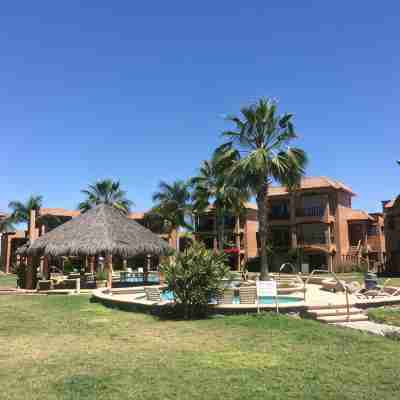 PARADISE AT BAHIA DELFIN / BEAUTIFUL 1ST FLOOR, POOLSIDE, OCEANVIEW , GOLD ZONE Others