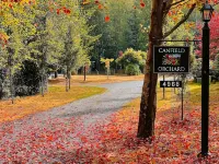 Whidbey Island Orchard House Estate Langley, WA