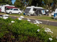 Toowoomba Caravan Park トゥウンバのホテル