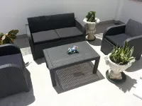 Lemon Tree Apartments