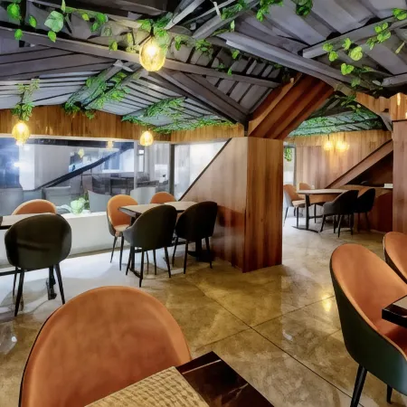 Luxe Resorts - Centrally Heated Air Conditioned Hotel in the Heart of Kasauli