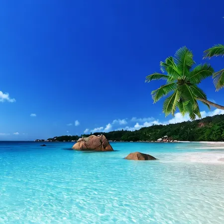 Salt Life at Sapphire Beach