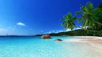 Salt Life at Sapphire Beach