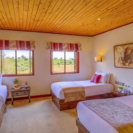 The Ark Lodge