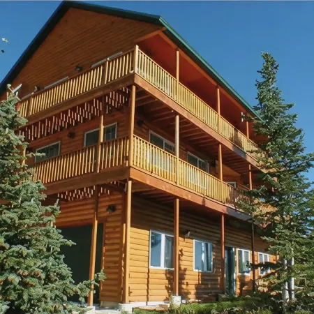 Ski in/Ski Out Cabin. 5 Bedrooms. 4 King Beds. Bunk Room. Fast WiFi. Sleeps 25+